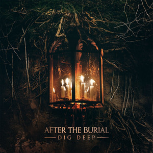 Dig Deep cover
