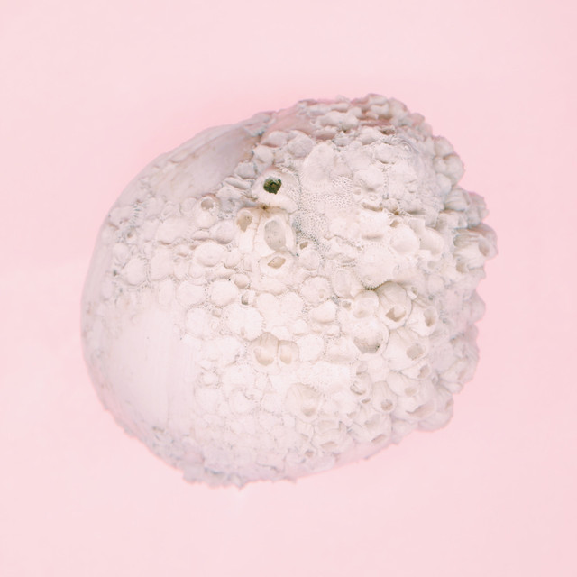 White Sun cover