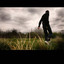 Wilderness (Deluxe) cover