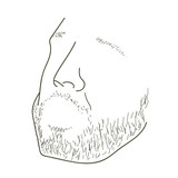 QWYK profile