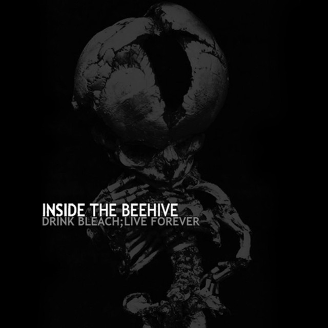 Inside The Beehive Photo