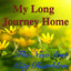 My Long Journey Home cover