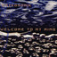 Welcome to My Mind cover