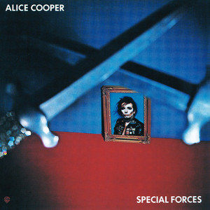 Special Forces cover