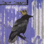 Old King Crow Albumcover