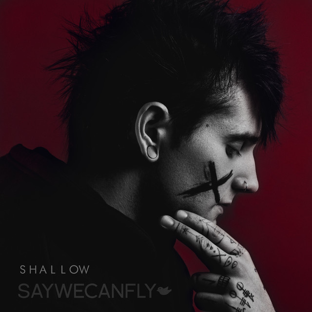 Shallow cover