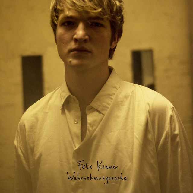 Wahrnehmungssache cover