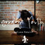 Goodbye Youth cover