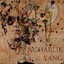 Charlie Yang