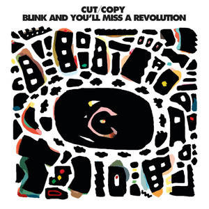 Blink and You'll Miss a Revolution album