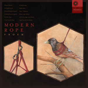Modern Rope cover