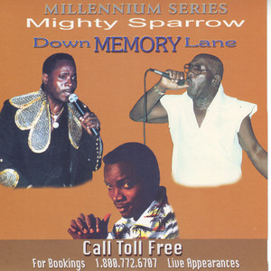 Down Memory Lane album