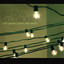 Live Under Lights and Wires cover