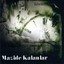 Mazide Kalanlar Albumcover
