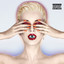 Witness cover