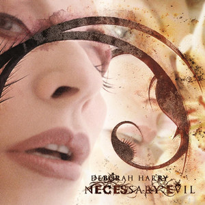 Necessary Evil cover