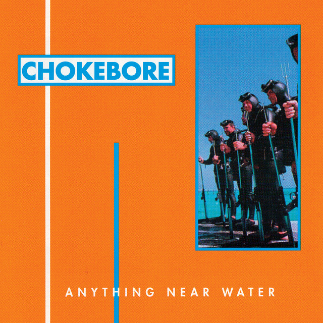 Anything Near Water cover