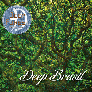 DEEP BRASIL album