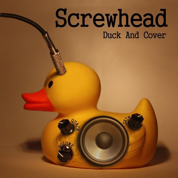 Screwhead Photo