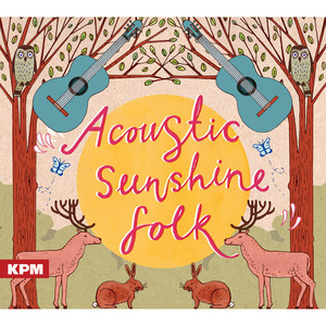 Acoustic Sunshine Folk cover