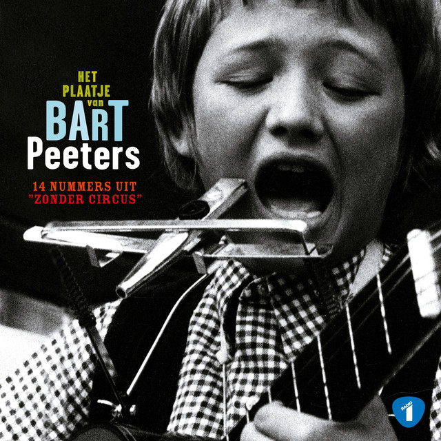 Het Plaatje Van Bart Peeters cover