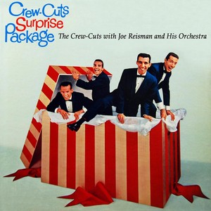 Surprise Package Albumcover