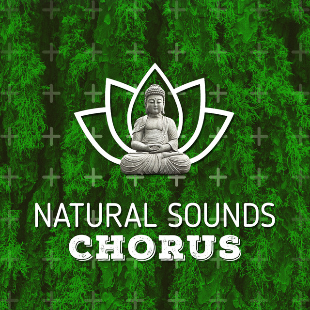 Natural Sounds Chorus Albumcover