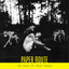 The Peace of Wild Things cover
