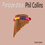 Panpipe Plays Phil Collins Albumcover