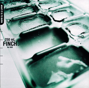 What It Is To Burn (International Version) cover
