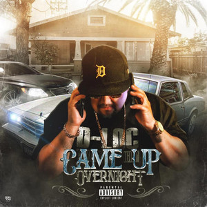 Came Up Overnight cover