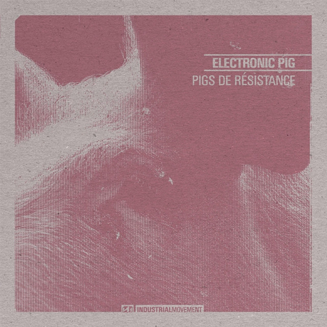 Electronic Pig Photo