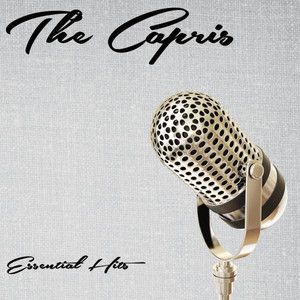 Essential Hits cover