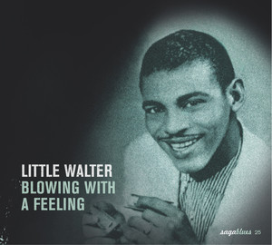 Saga Blues: Blowing With a Feeling album