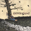 Wonderland Albumcover
