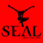 Seal Best Remixes 1991-2005 cover