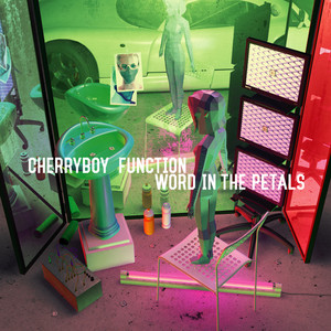 CHERRYBOY FUNCTION Photo