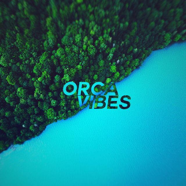 Orca photo