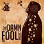 The Damn Fool Project Albumcover