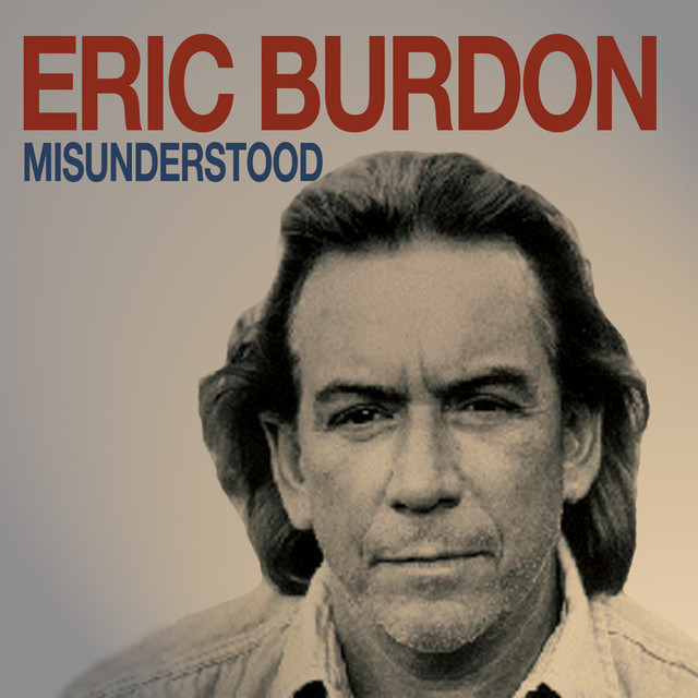 Misunderstood cover