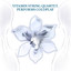 The String Quartet Tribute to Coldplay cover
