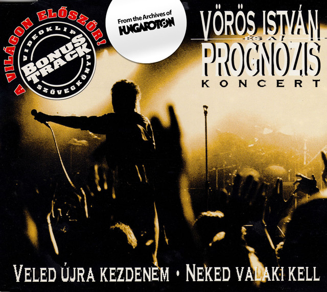 Veled újra Kezdeném - Neked Valaki Kell cover