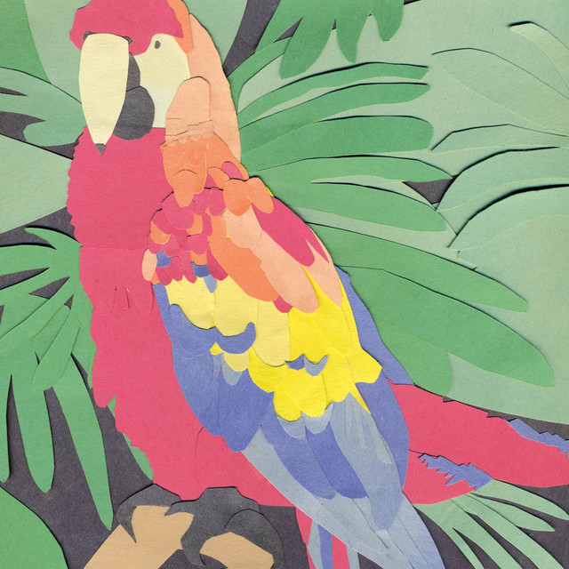 Parrot Flies cover