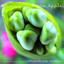 iTunes Originals cover