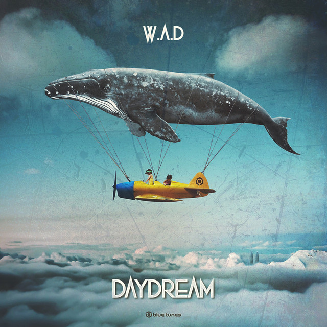 W.A.D Photo