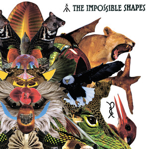 The Impossible Shapes cover
