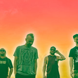 The Movement profile