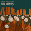 The Crawl Albumcover