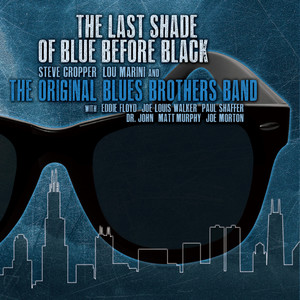 The Last Shade of Blue Before Black cover