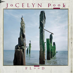Flood album